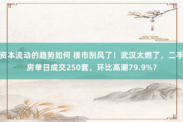 资本流动的趋势如何 楼市刮风了！武汉太燃了，二手房单日成交250套，环比高潮79.9%？