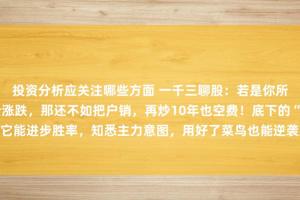 投资分析应关注哪些方面 一千三聊股：若是你所谓的盯盘，只会看股价涨跌，那还不如把户销，再炒10年也空费！底下的“看盘六大重点”，掌抓它能进步胜率，知悉主力意图，用好了菜鸟也能逆袭成老手，句句干货，提出