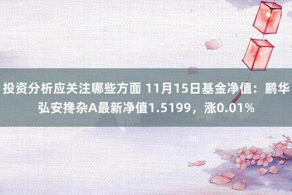 投资分析应关注哪些方面 11月15日基金净值：鹏华弘安搀杂A最新净值1.5199，涨0.01%