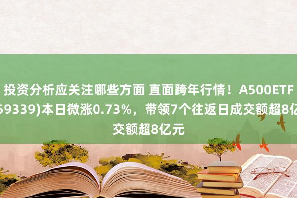 投资分析应关注哪些方面 直面跨年行情！A500ETF(159339)本日微涨0.73%，带领7个往返日成交额超8亿元