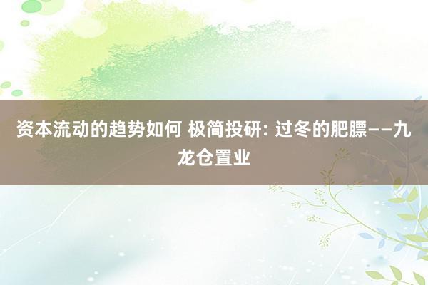 资本流动的趋势如何 极简投研: 过冬的肥膘——九龙仓置业