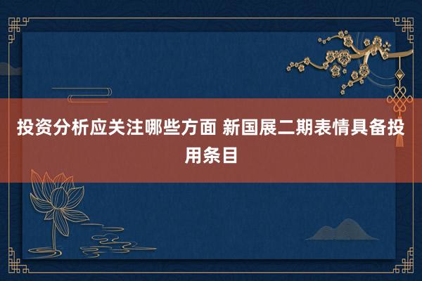 投资分析应关注哪些方面 新国展二期表情具备投用条目