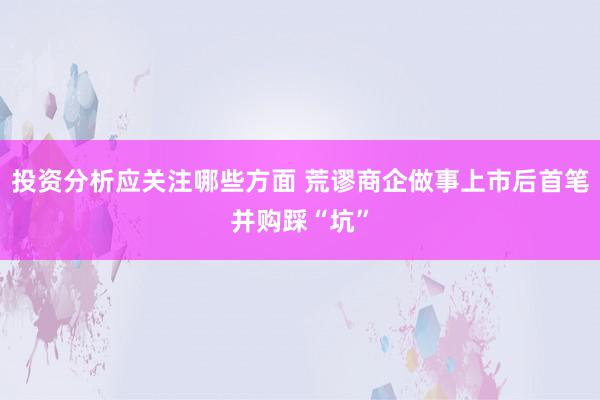 投资分析应关注哪些方面 荒谬商企做事上市后首笔并购踩“坑”