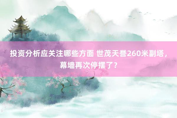 投资分析应关注哪些方面 世茂天誉260米副塔，幕墙再次停摆了？