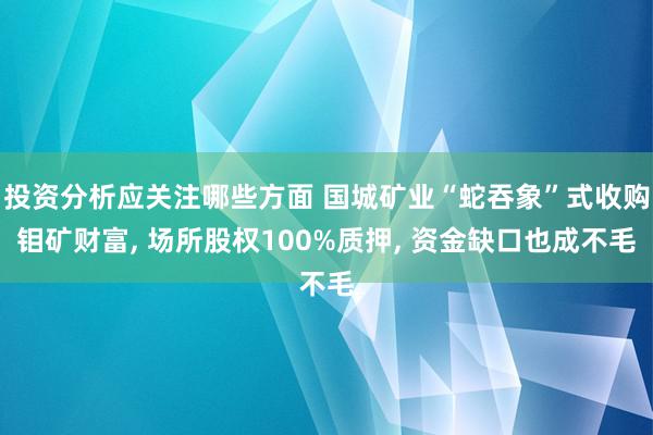 投资分析应关注哪些方面 国城矿业“蛇吞象”式收购钼矿财富, 场所股权100%质押, 资金缺口也成不毛