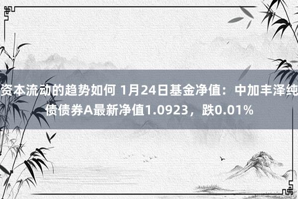 资本流动的趋势如何 1月24日基金净值：中加丰泽纯债债券A最新净值1.0923，跌0.01%