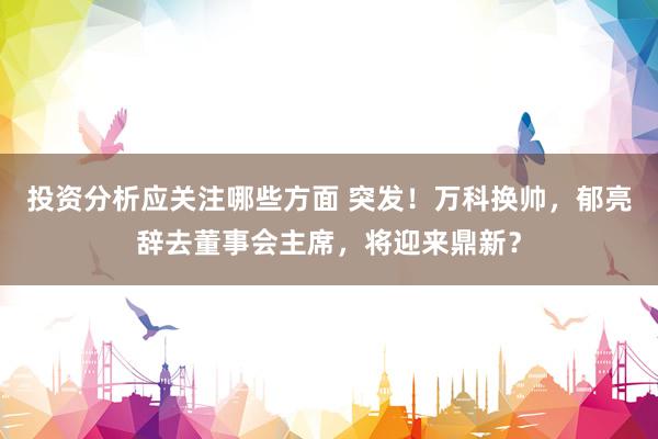 投资分析应关注哪些方面 突发！万科换帅，郁亮辞去董事会主席，将迎来鼎新？