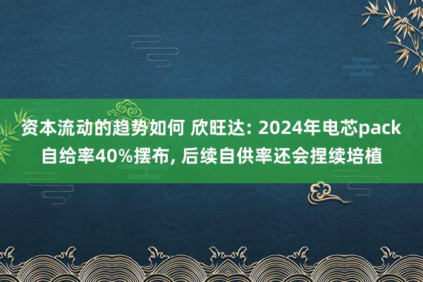 资本流动的趋势如何 欣旺达: 2024年电芯pack自给率40%摆布, 后续自供率还会捏续培植