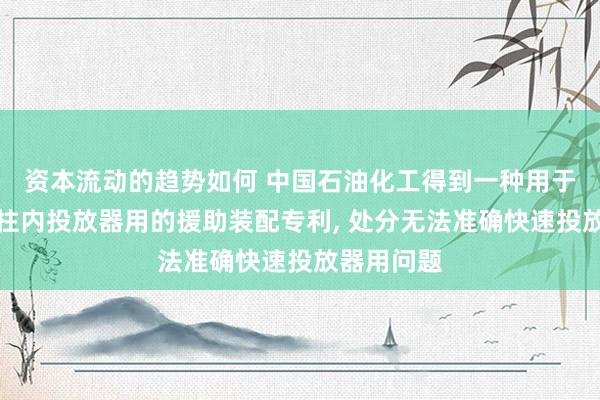 资本流动的趋势如何 中国石油化工得到一种用于向速率管柱内投放器用的援助装配专利, 处分无法准确快速投