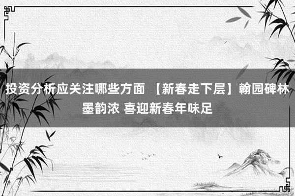 投资分析应关注哪些方面 【新春走下层】翰园碑林墨韵浓 喜迎新春年味足