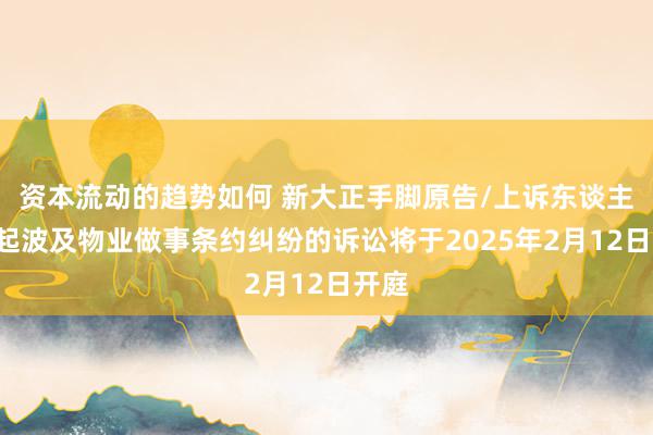 资本流动的趋势如何 新大正手脚原告/上诉东谈主的1起波及物业做事条约纠纷的诉讼将于2025年2月12日开庭