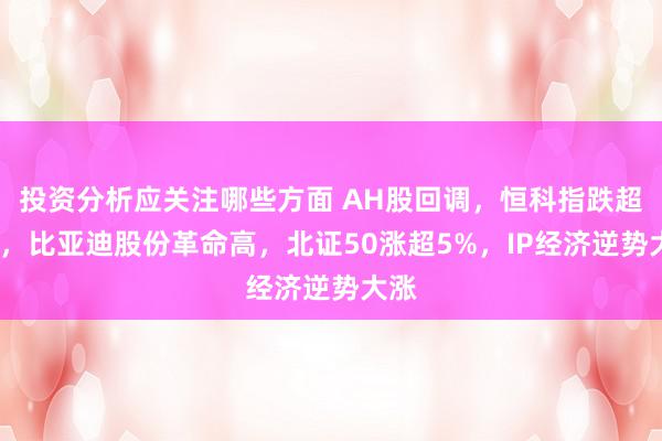 投资分析应关注哪些方面 AH股回调，恒科指跌超2%，比亚迪股份革命高，北证50涨超5%，IP经济逆势大涨