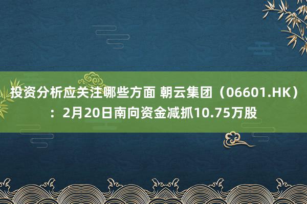 投资分析应关注哪些方面 朝云集团（06601.HK）：2月20日南向资金减抓10.75万股