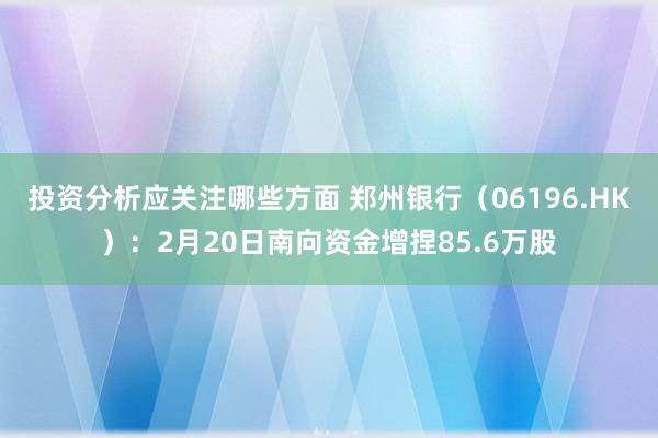 投资分析应关注哪些方面 郑州银行（06196.HK）：2月20日南向资金增捏85.6万股