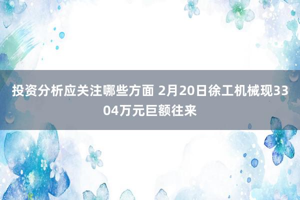 投资分析应关注哪些方面 2月20日徐工机械现3304万元巨额往来