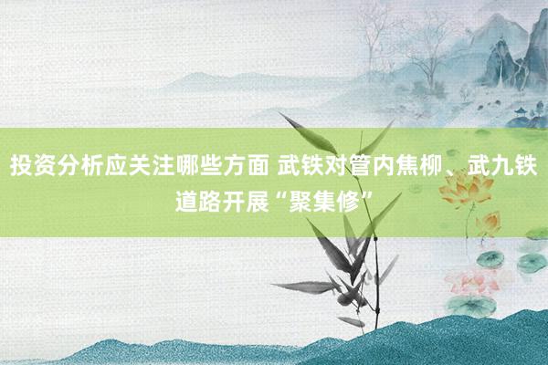 投资分析应关注哪些方面 武铁对管内焦柳、武九铁道路开展“聚集修”