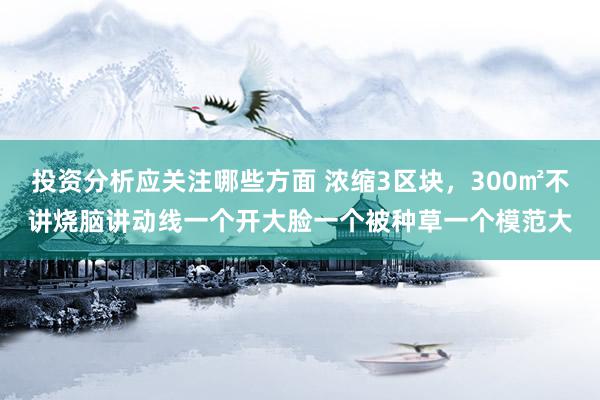 投资分析应关注哪些方面 浓缩3区块，300㎡不讲烧脑讲动线一个开大脸一个被种草一个模范大