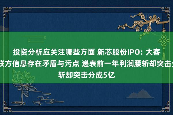 投资分析应关注哪些方面 新芯股份IPO: 大客户和关联方信息存在矛盾与污点 递表前一年利润腰斩却突击