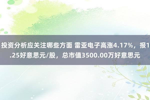 投资分析应关注哪些方面 雷亚电子高涨4.17%，报1.25好意思元/股，总市值3500.00万好意思