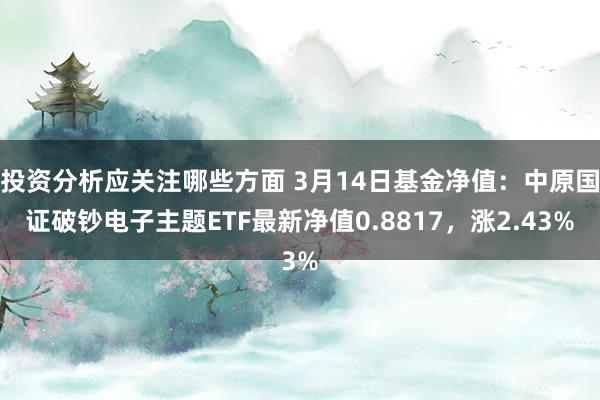 投资分析应关注哪些方面 3月14日基金净值：中原国证破钞电子主题ETF最新净值0.8817，涨2.4