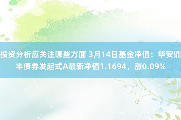 投资分析应关注哪些方面 3月14日基金净值：华安鼎丰债券发起式A最新净值1.1694，涨0.09%